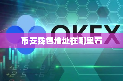 币安钱包地址在哪里看