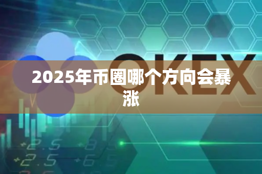 2025年币圈哪个方向会暴涨