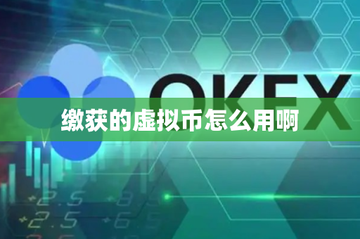 缴获的虚拟币怎么用啊