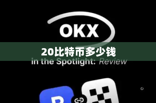 20比特币多少钱