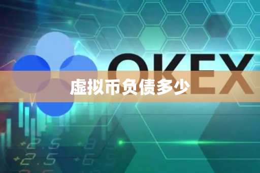 虚拟币负债多少
