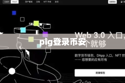 pig登录币安