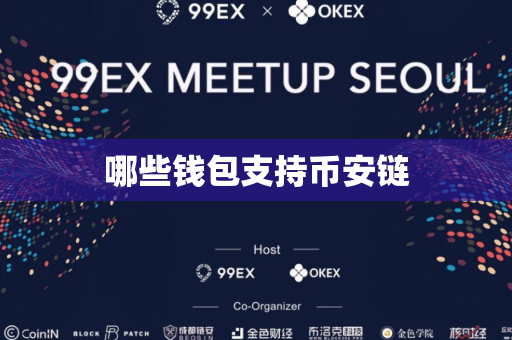 哪些钱包支持币安链