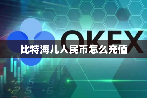 比特海儿人民币怎么充值
