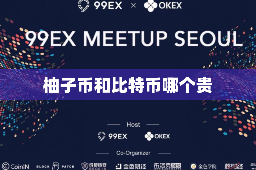 柚子币和比特币哪个贵