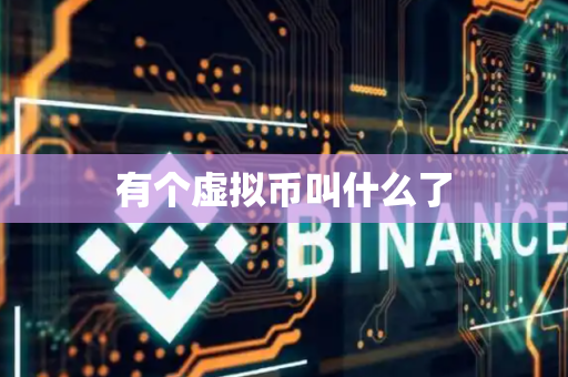 有个虚拟币叫什么了