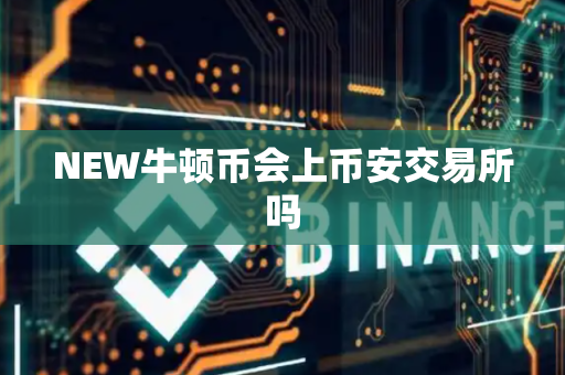 NEW牛顿币会上币安交易所吗
