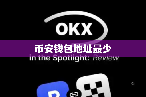 币安钱包地址最少