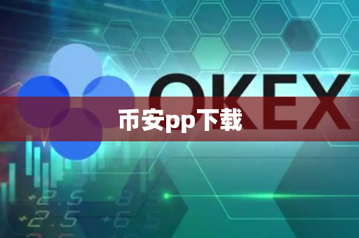 币安pp下载