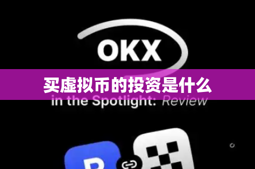 买虚拟币的投资是什么