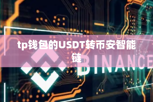 tp钱包的USDT转币安智能链