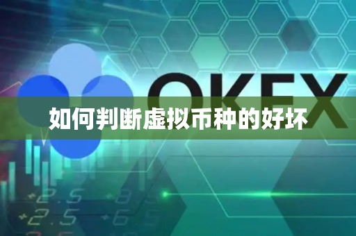如何判断虚拟币种的好坏