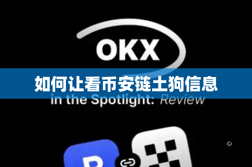 如何让看币安链土狗信息