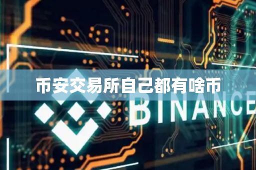 币安交易所自己都有啥币