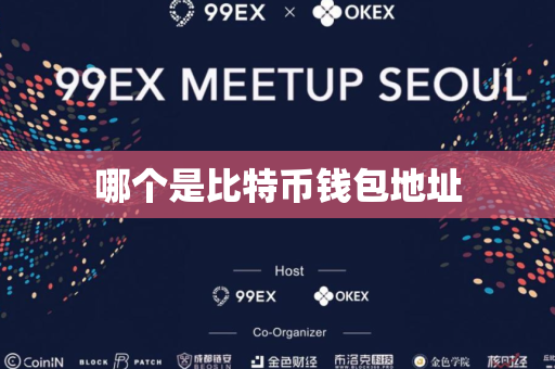 哪个是比特币钱包地址