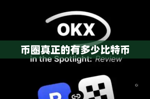币圈真正的有多少比特币