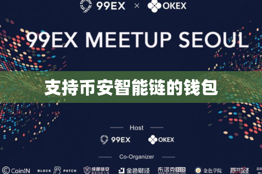 支持币安智能链的钱包
