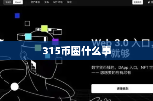 315币圈什么事