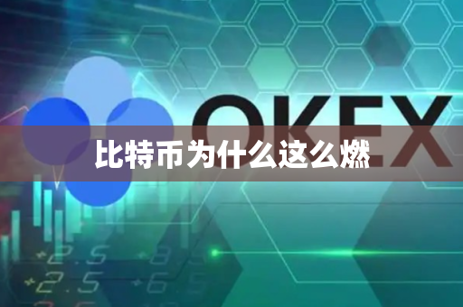 比特币为什么这么燃