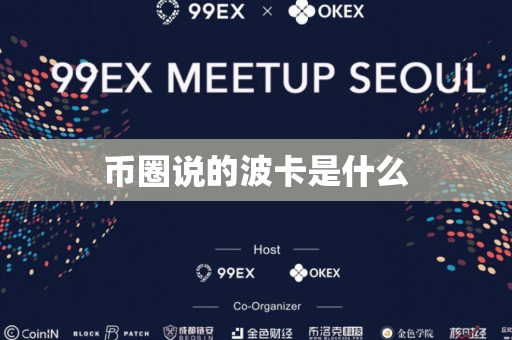 币圈说的波卡是什么