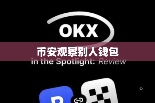 币安观察别人钱包