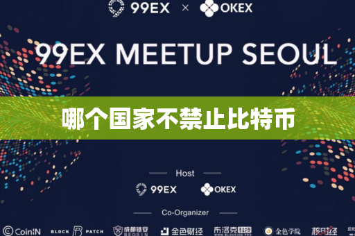 哪个国家不禁止比特币