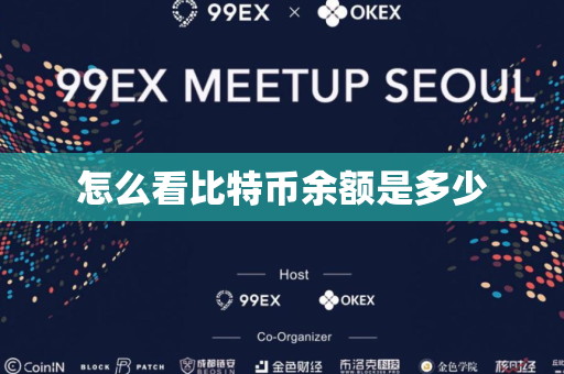 怎么看比特币余额是多少