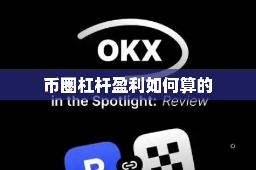 币圈杠杆盈利如何算的