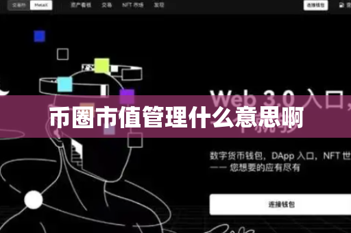 币圈市值管理什么意思啊