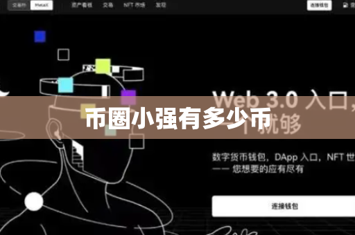 币圈小强有多少币
