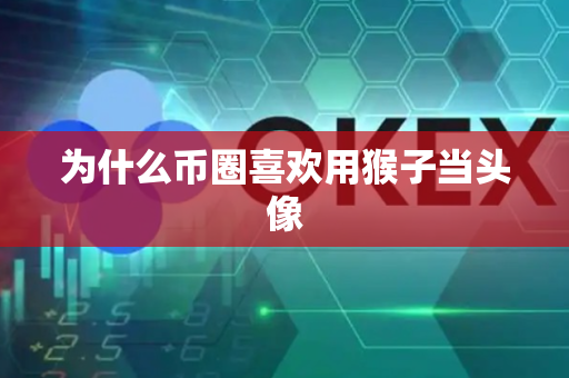 为什么币圈喜欢用猴子当头像