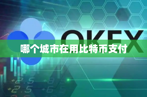 哪个城市在用比特币支付