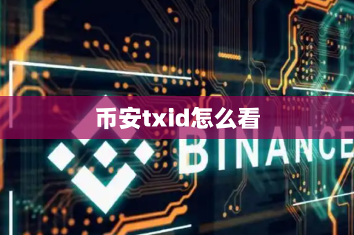 币安txid怎么看