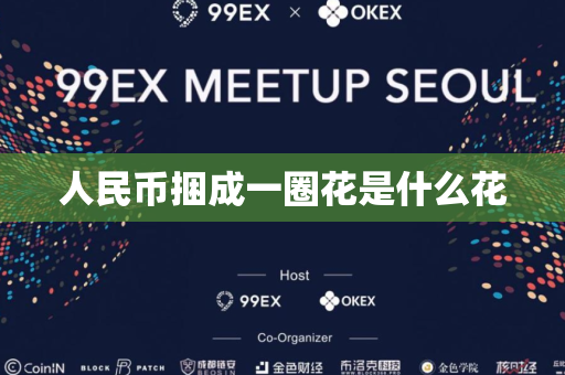 人民币捆成一圈花是什么花