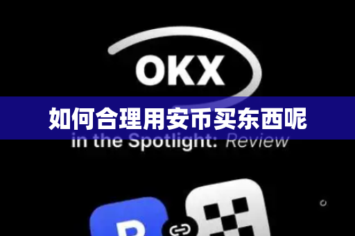 如何合理用安币买东西呢