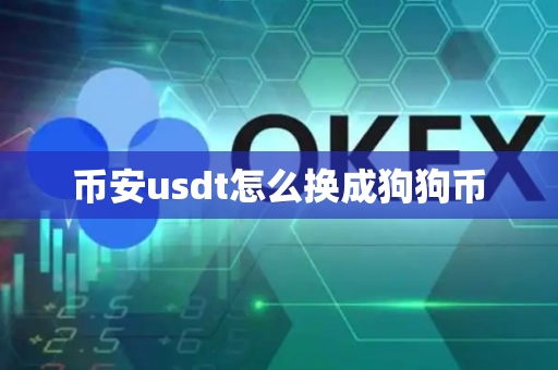 币安usdt怎么换成狗狗币