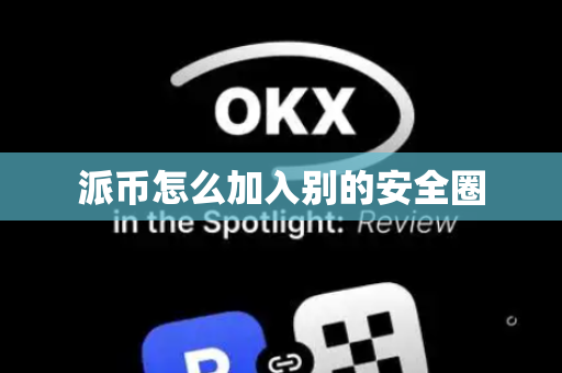 派币怎么加入别的安全圈