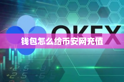 钱包怎么给币安网充值