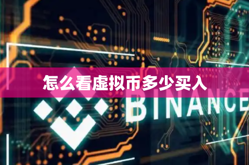 怎么看虚拟币多少买入