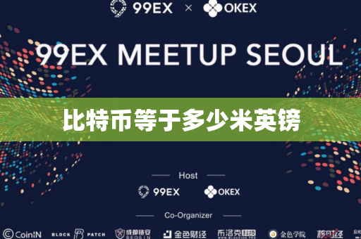 比特币等于多少米英镑