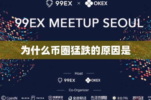 为什么币圈猛跌的原因是