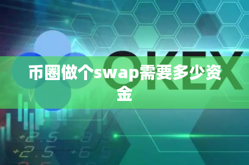 币圈做个swap需要多少资金