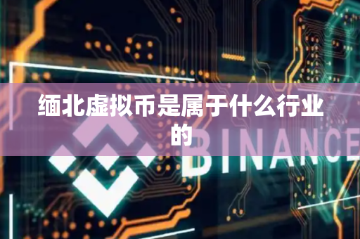 缅北虚拟币是属于什么行业的