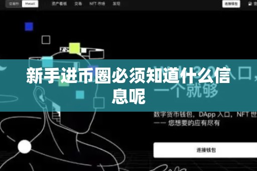 新手进币圈必须知道什么信息呢