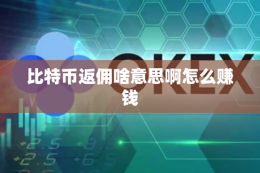 比特币返佣啥意思啊怎么赚钱