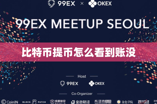 比特币提币怎么看到账没