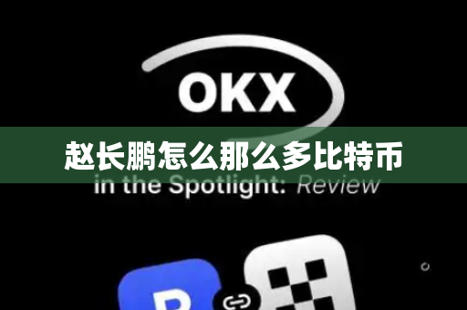 赵长鹏怎么那么多比特币