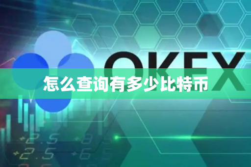怎么查询有多少比特币