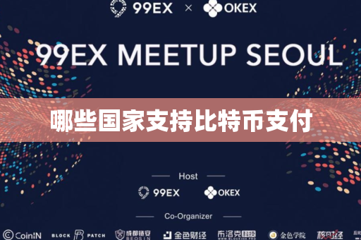 哪些国家支持比特币支付