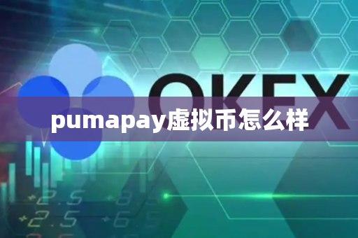 pumapay虚拟币怎么样